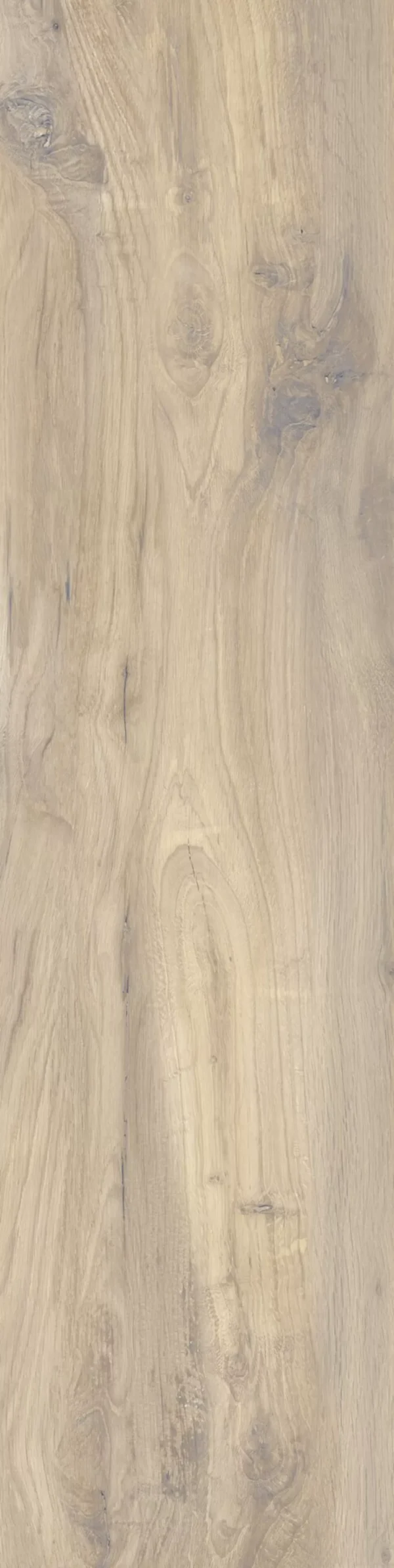 CASTELVETRO Serie Woodland elm (1.44 m²)